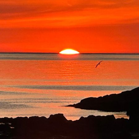 Alfheimar Hotel Borgarfjordur Eystri Bagian luar foto