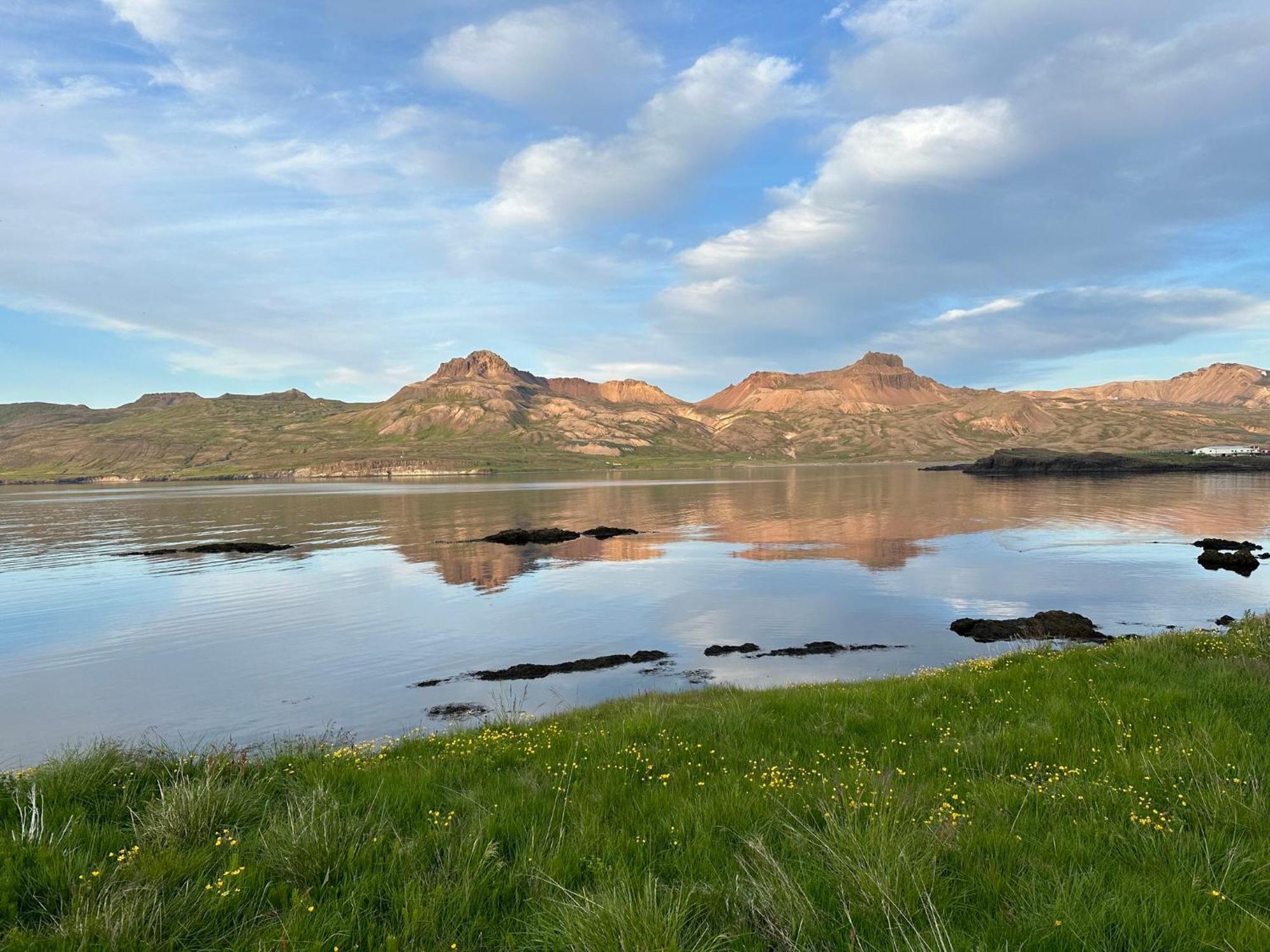 Alfheimar Hotel Borgarfjordur Eystri Bagian luar foto