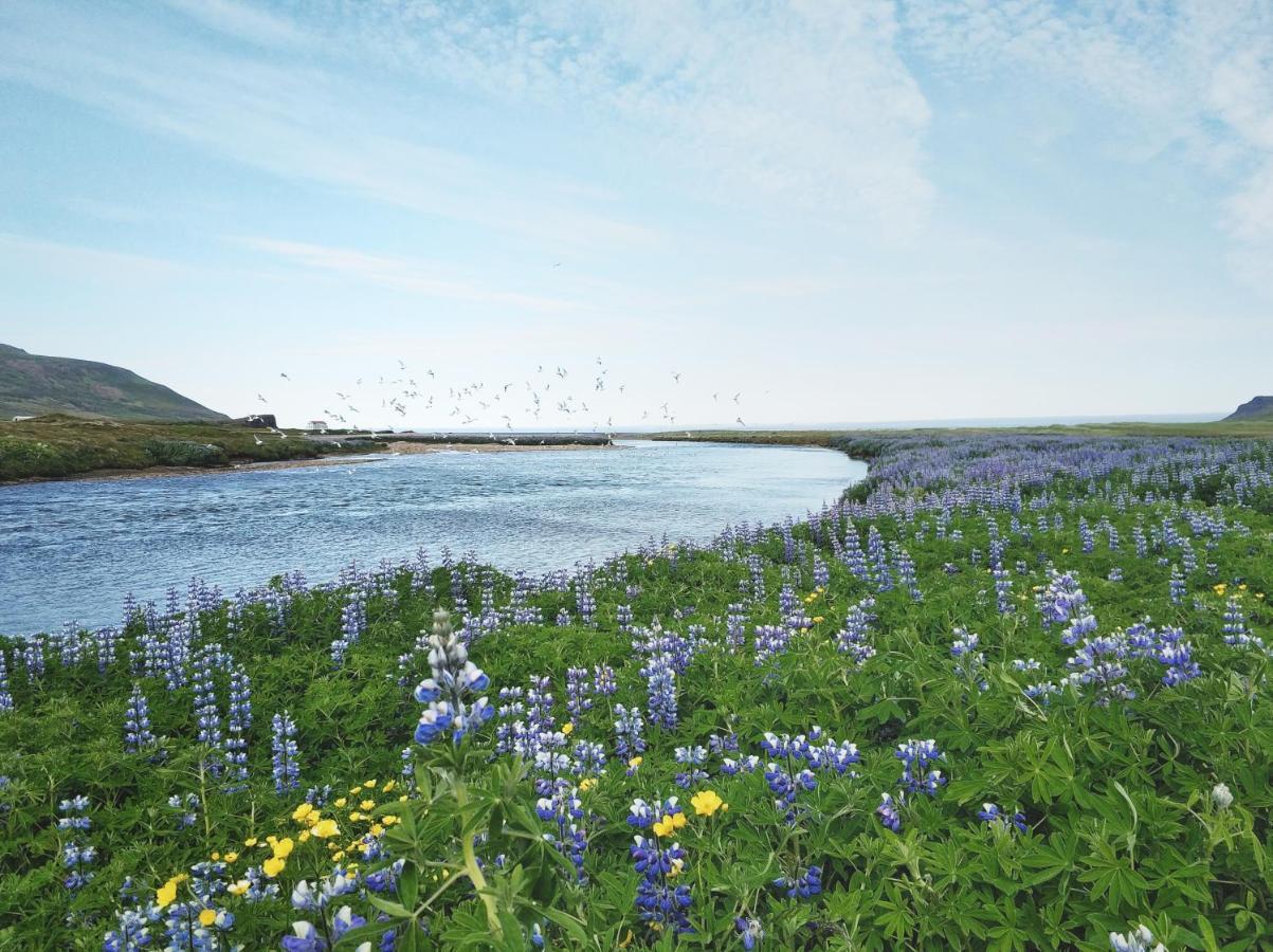 Alfheimar Hotel Borgarfjordur Eystri Bagian luar foto