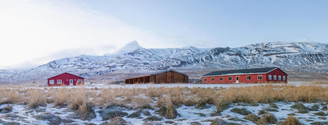 Alfheimar Hotel Borgarfjordur Eystri Bagian luar foto